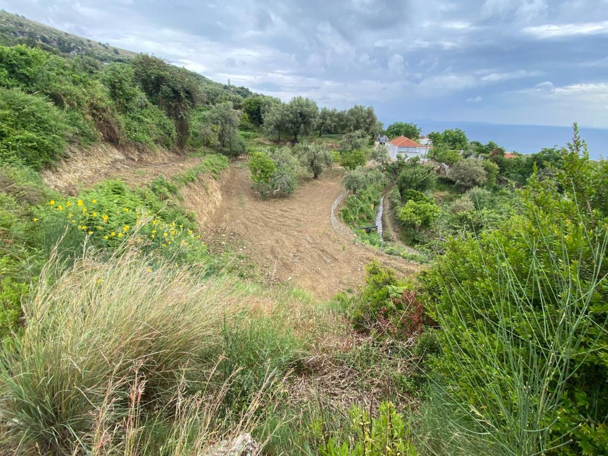 Maison Bellevue - 2 Bdrm Villa In Borsh Beach Dış mekan fotoğraf