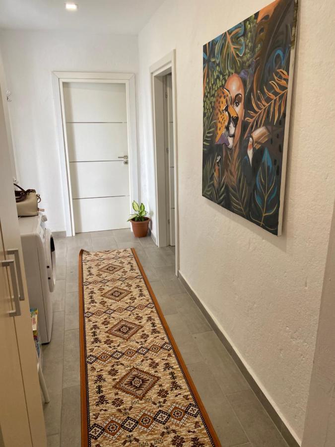 Maison Bellevue - 2 Bdrm Villa In Borsh Beach Dış mekan fotoğraf